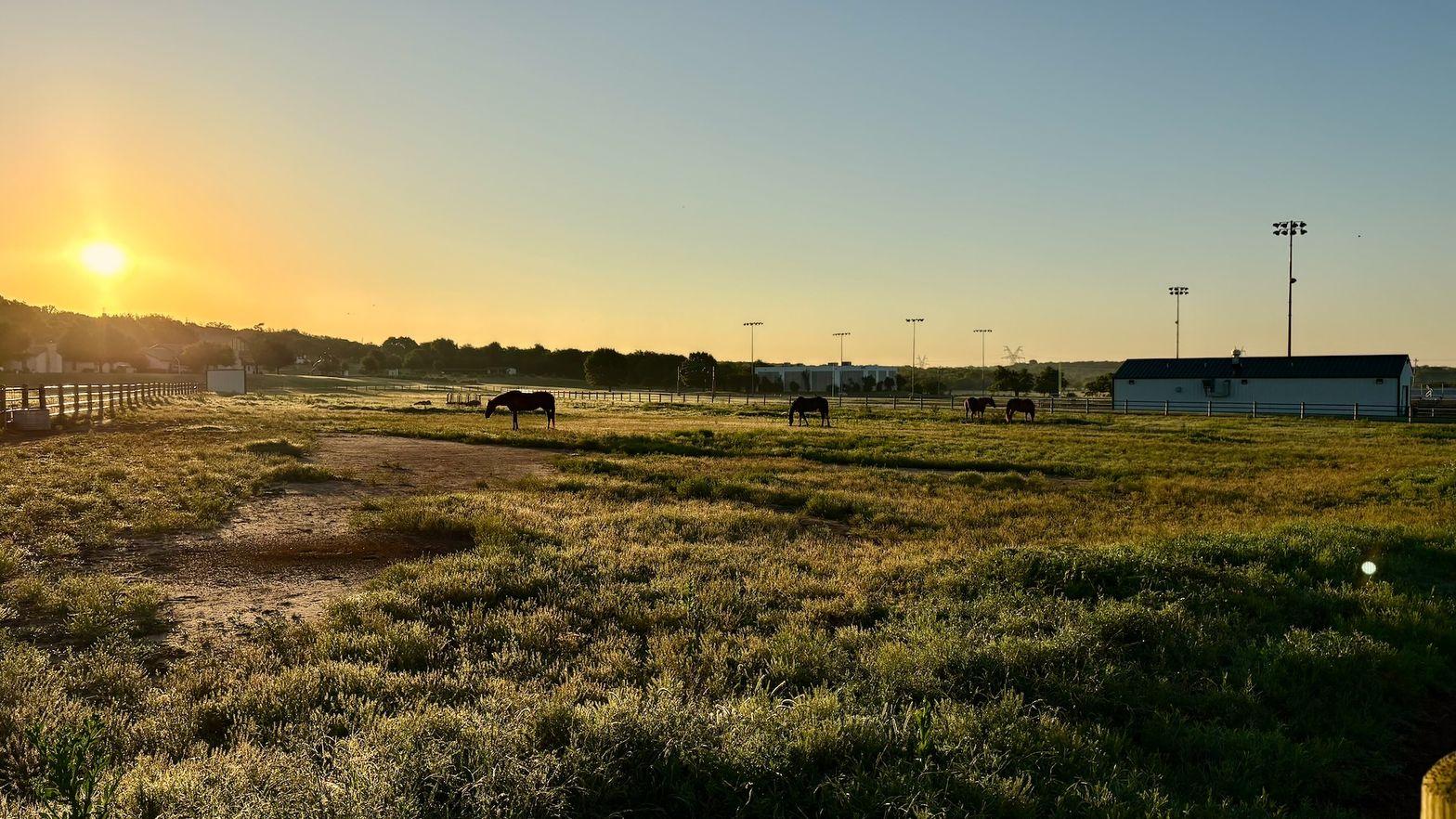 Happy Hill Farm at sunset